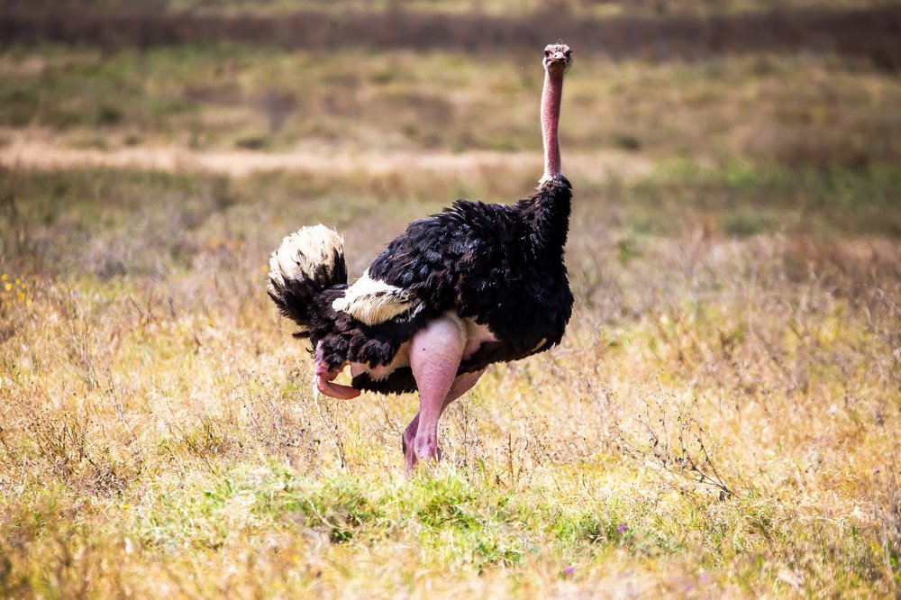 Photograph by Faraja Goodluck