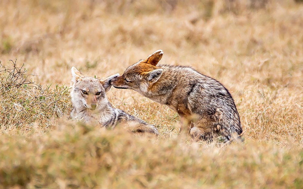 Photograph by Faraja Goodluck