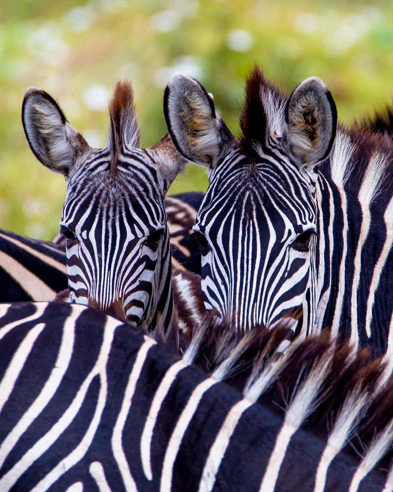 Photograph by Faraja Goodluck