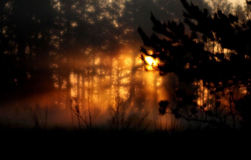 Photograph by Виктор Борисов