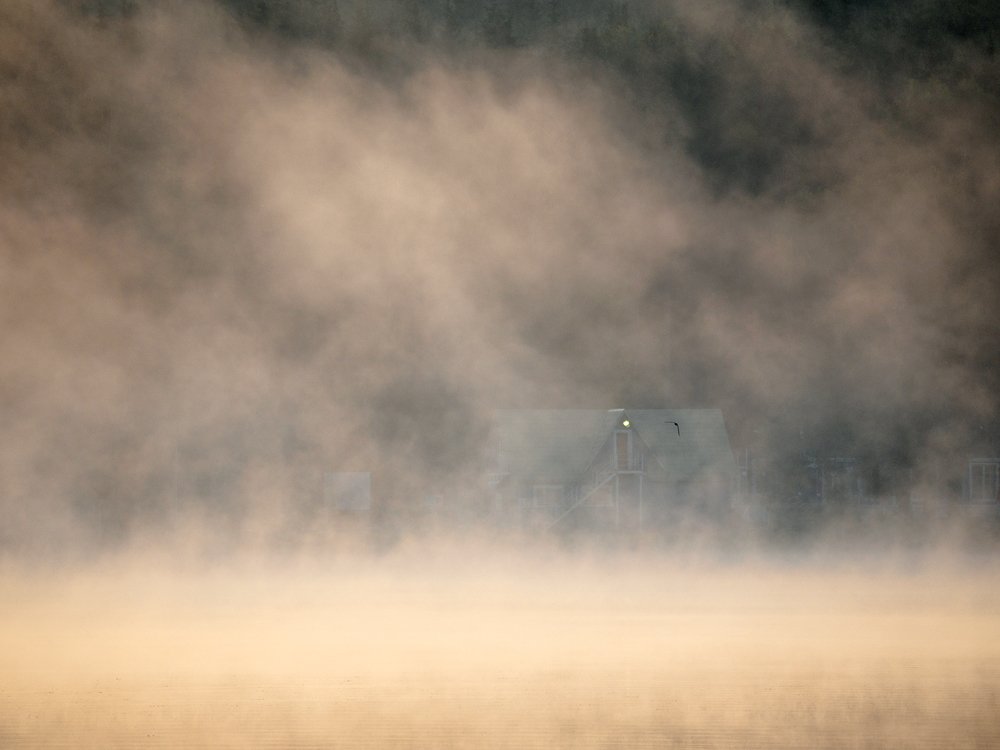 Photograph by Марина Брыдня