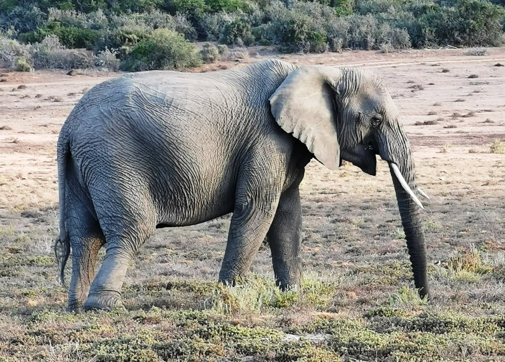 Photograph by Alexander Matschin