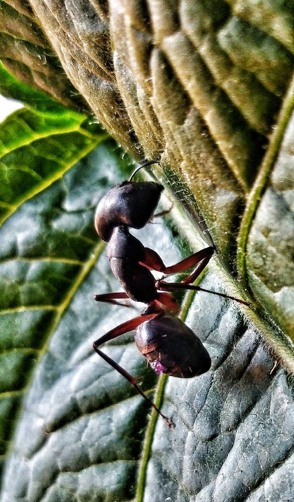 Photo #4840236