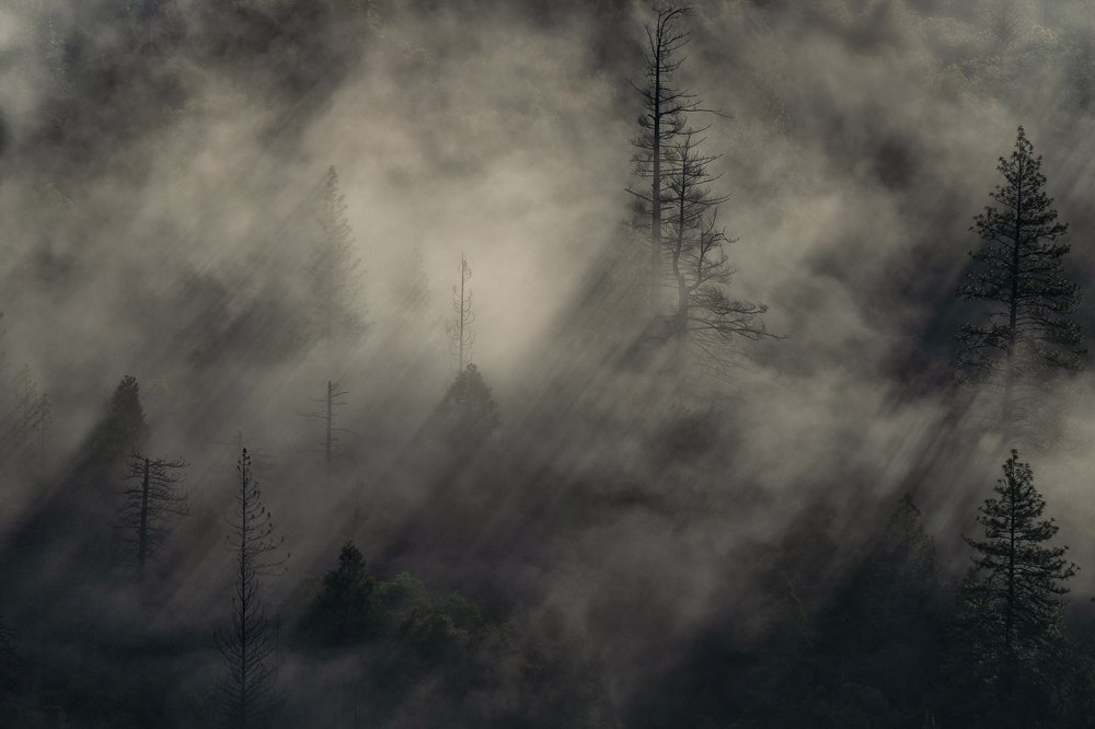 Фотография автора Gheorghe Popa