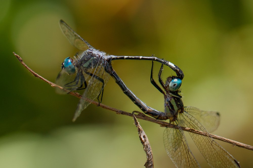 Photograph by MARÍA CECILIA REY