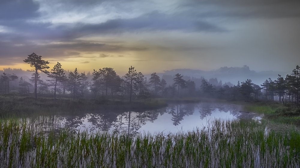 Фотография автора Елена Маковоз