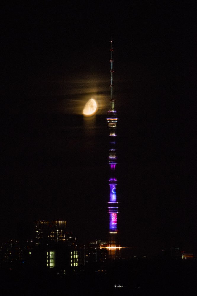 Photograph by Лейла Матар