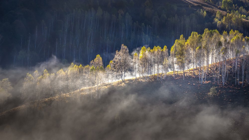 Фотография автора Елена Маковоз