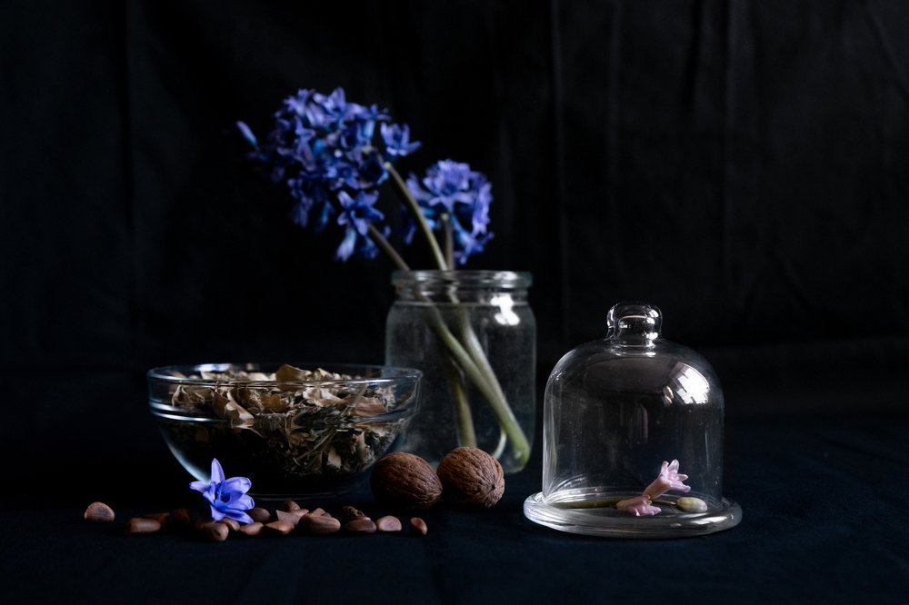 Photograph by Олеся Загорулько