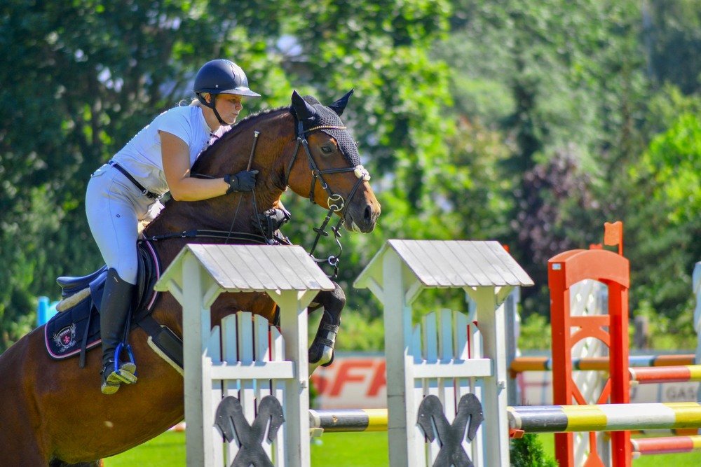 Фотография автора Aлексей Игнатьев