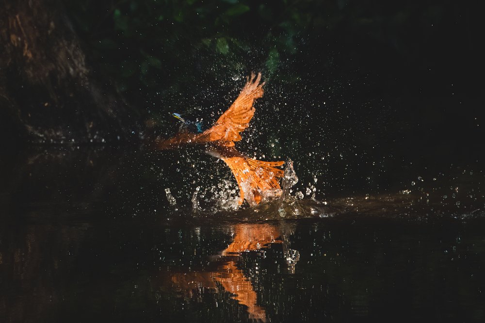 Фотография автора Thivanka Ilanperuma