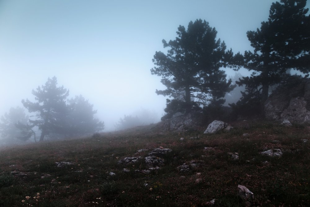 Фотография автора Владимир Шалимов