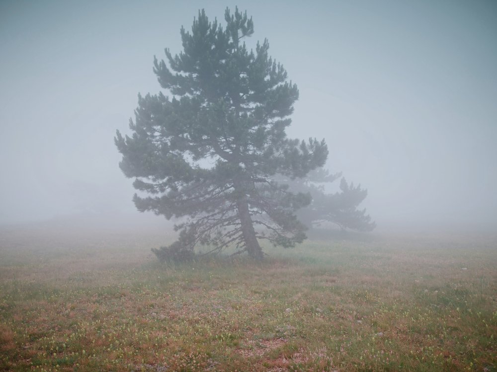 Фотография автора Владимир Шалимов