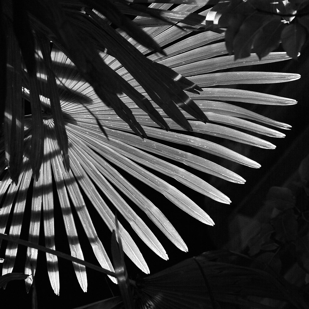 Photograph by Евгений Аккуратов