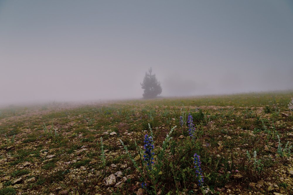 Фотография автора Владимир Шалимов