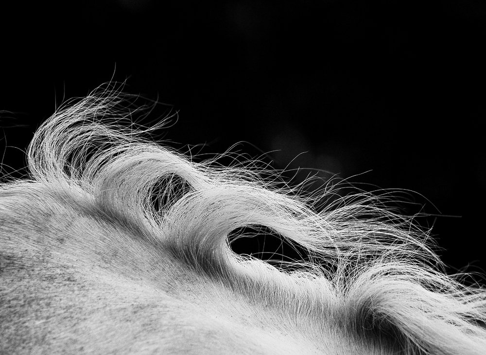 Photograph by Евгений Аккуратов