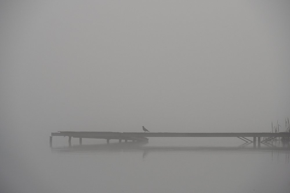 Photograph by Tatiana Zolotareva