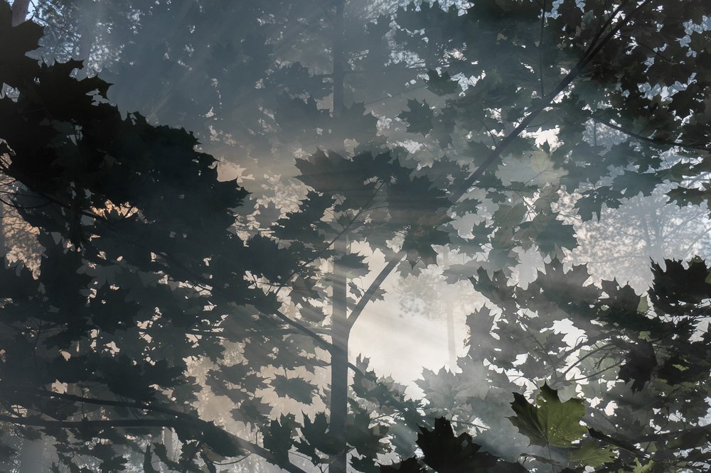 Photograph by Tatiana Zolotareva