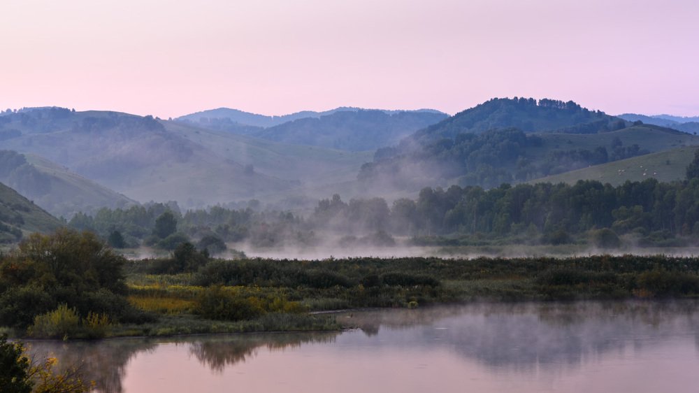 Фотография автора Владимир Зубков