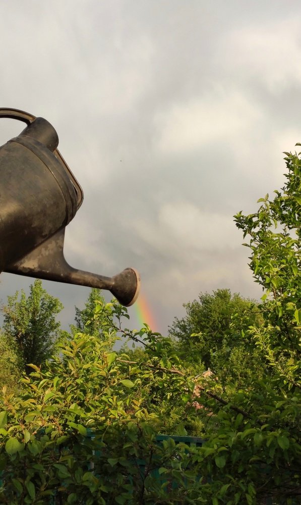 Photograph by Дмитрий Страмцов