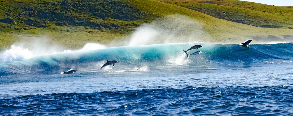 Photograph by CLEEVE ROBERTSON