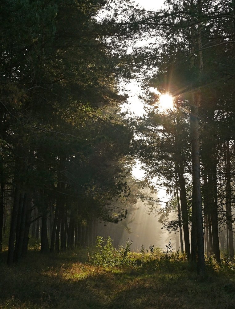 Photograph by Андрей Костромин