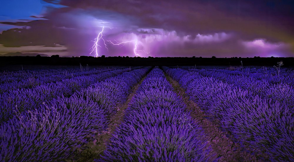 Photograph by ANTONIO MATA CUEVAS