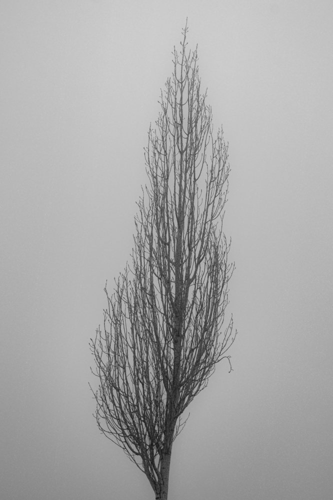 Photograph by Ali Abu Ras