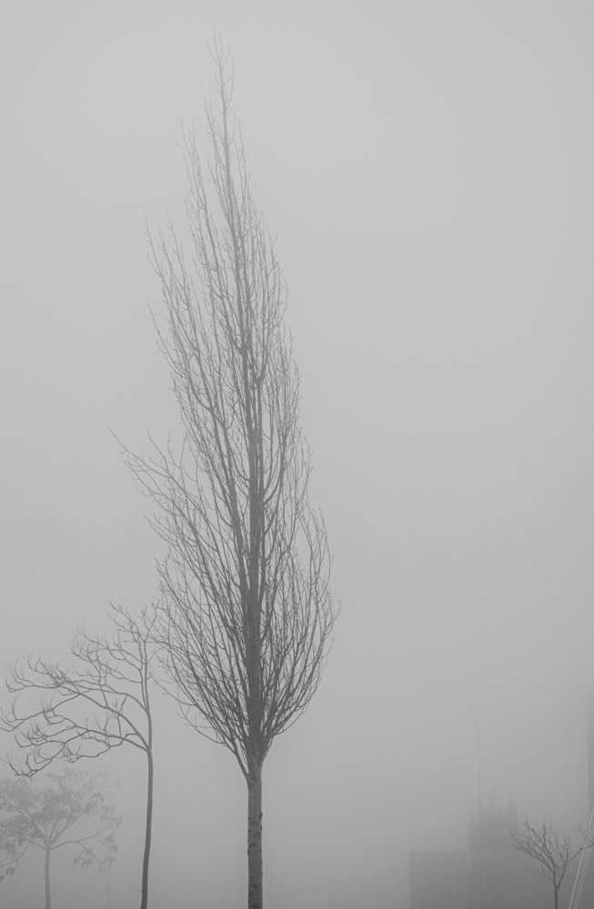 Photograph by Ali Abu Ras