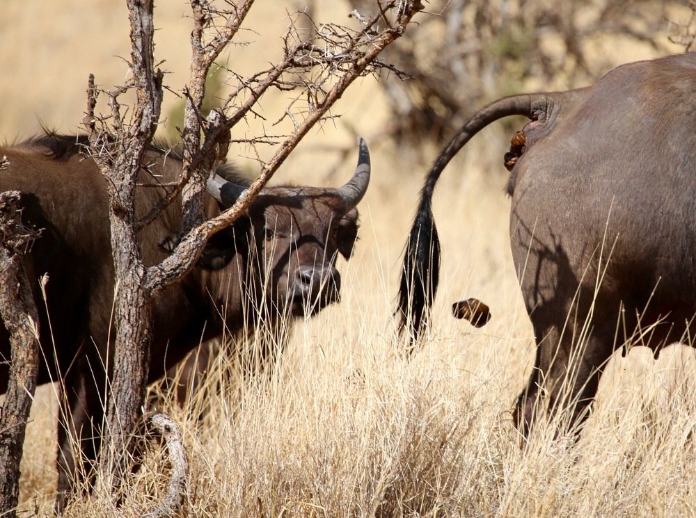 Photograph by Юлия