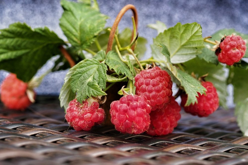 Photograph by Ирина