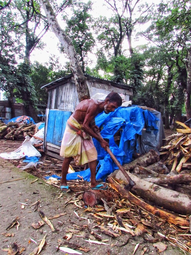Woodcutter