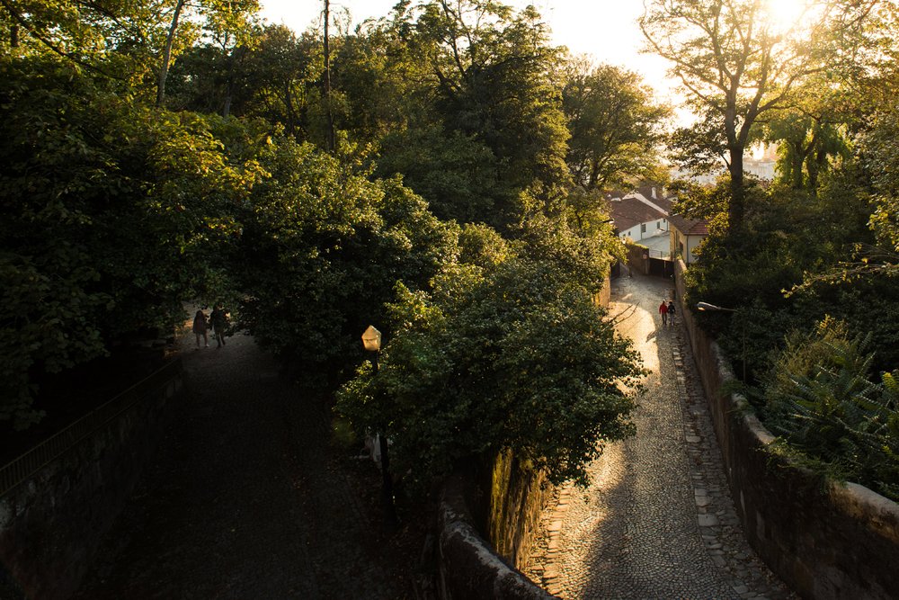 Photograph by Лейла Матар