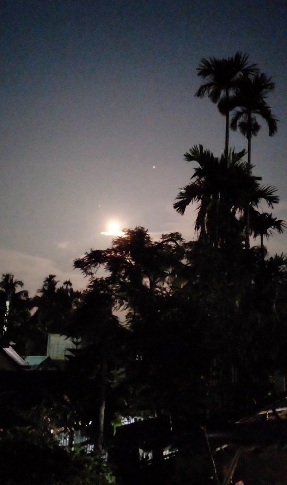 Photograph by Dutta Ankita