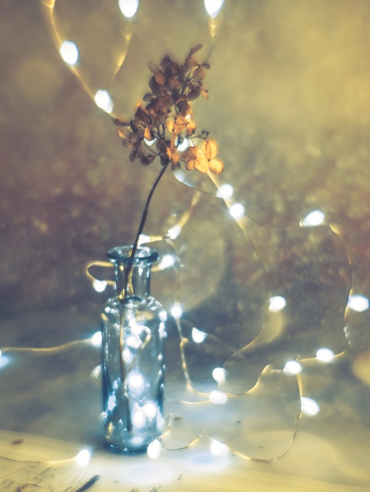 Photograph by Ольга Линк