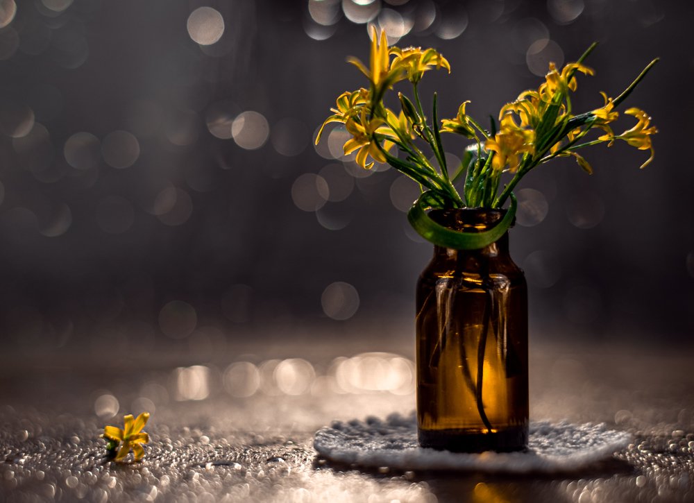 Photograph by Алеся Кубаткина