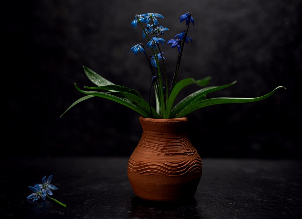 Фотография автора Алеся Кубаткина