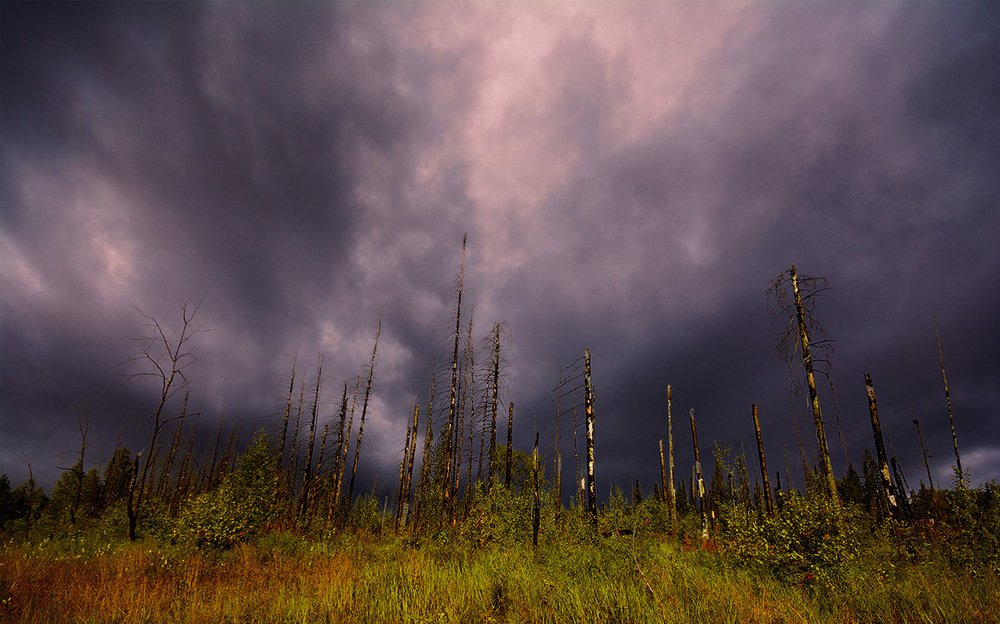 Photograph by Sergey L