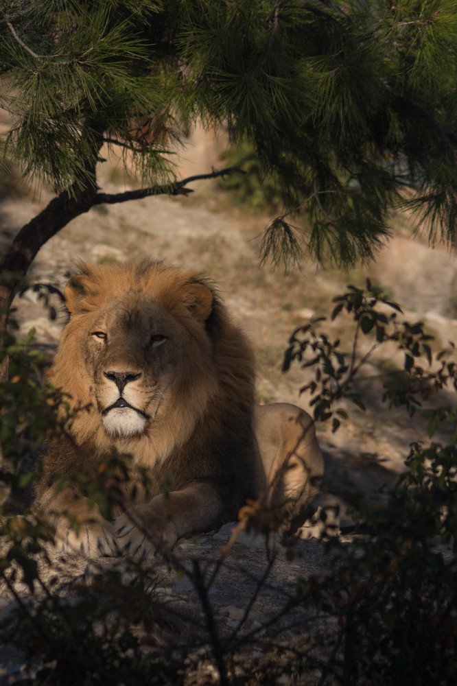 Photograph by Антон