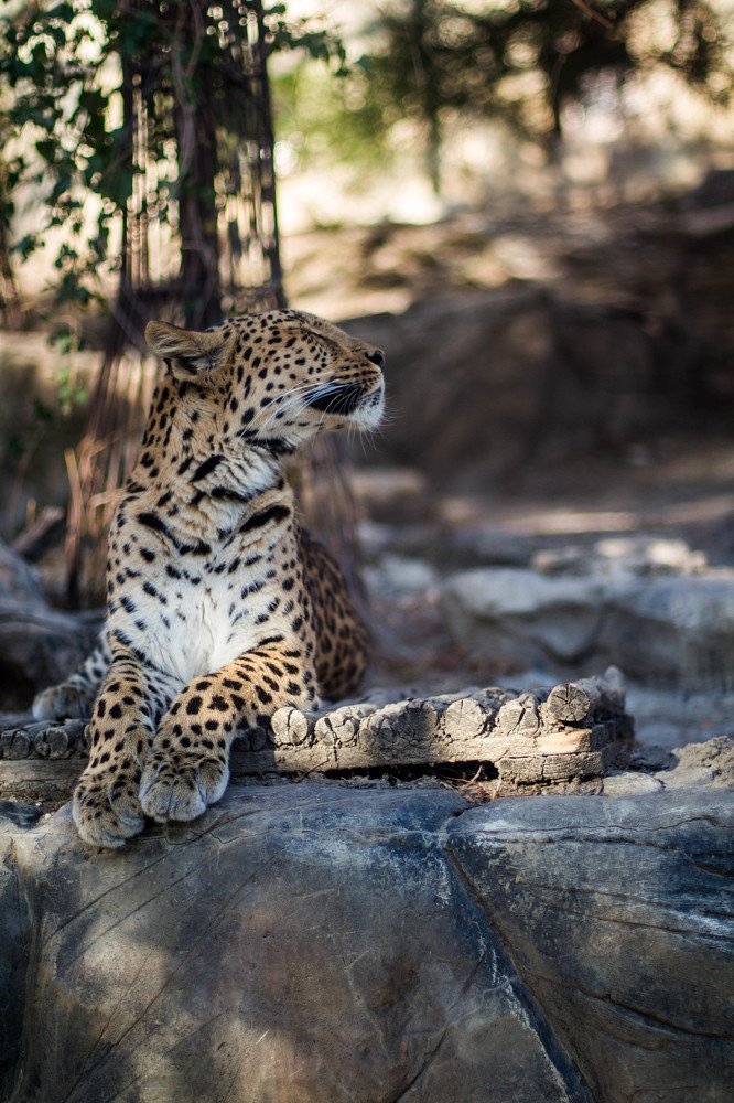 Photograph by Антон