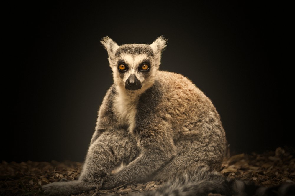 Photograph by Mario Salvador