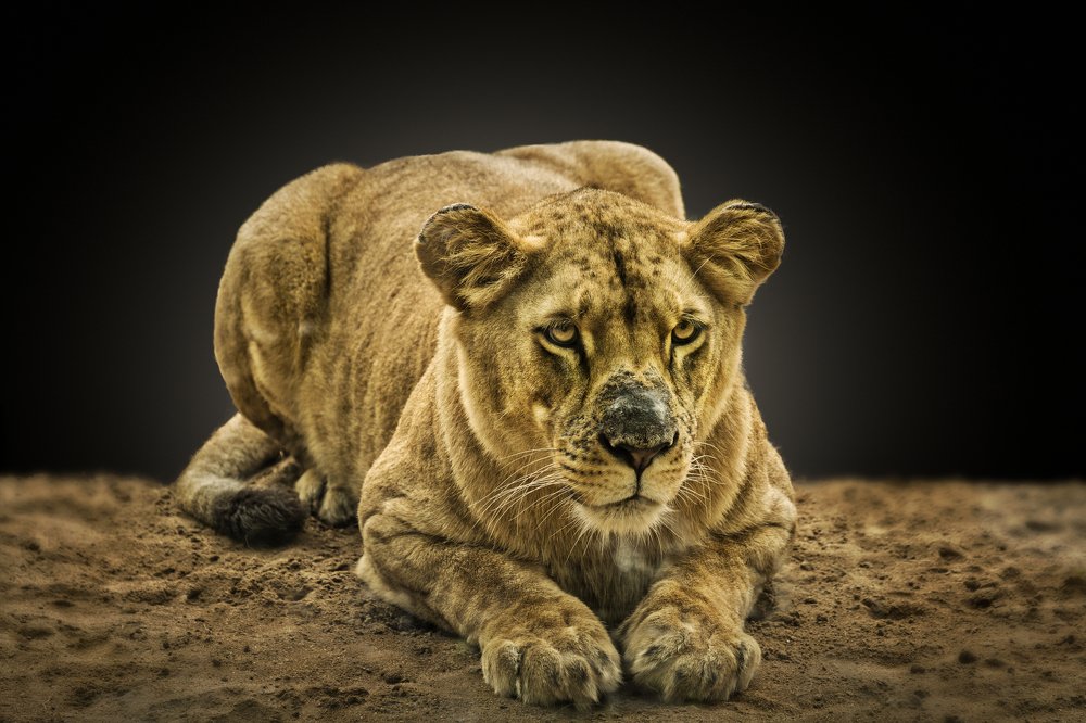 Photograph by Mario Salvador