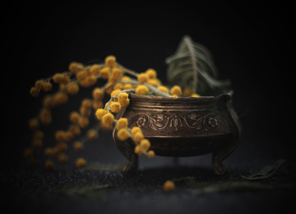 Photograph by Алёна Тополян