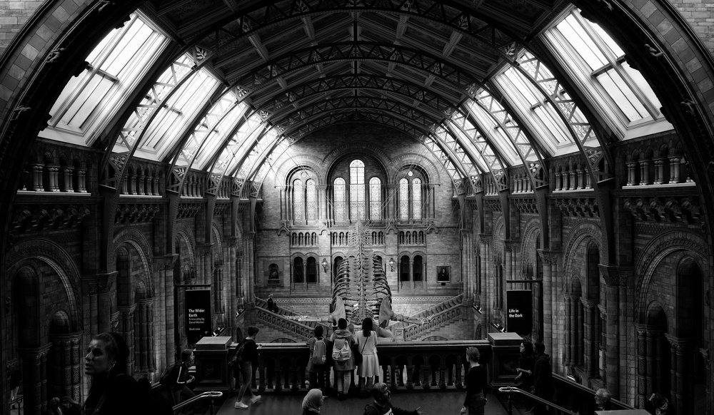 Photograph by Claudio Ulloa