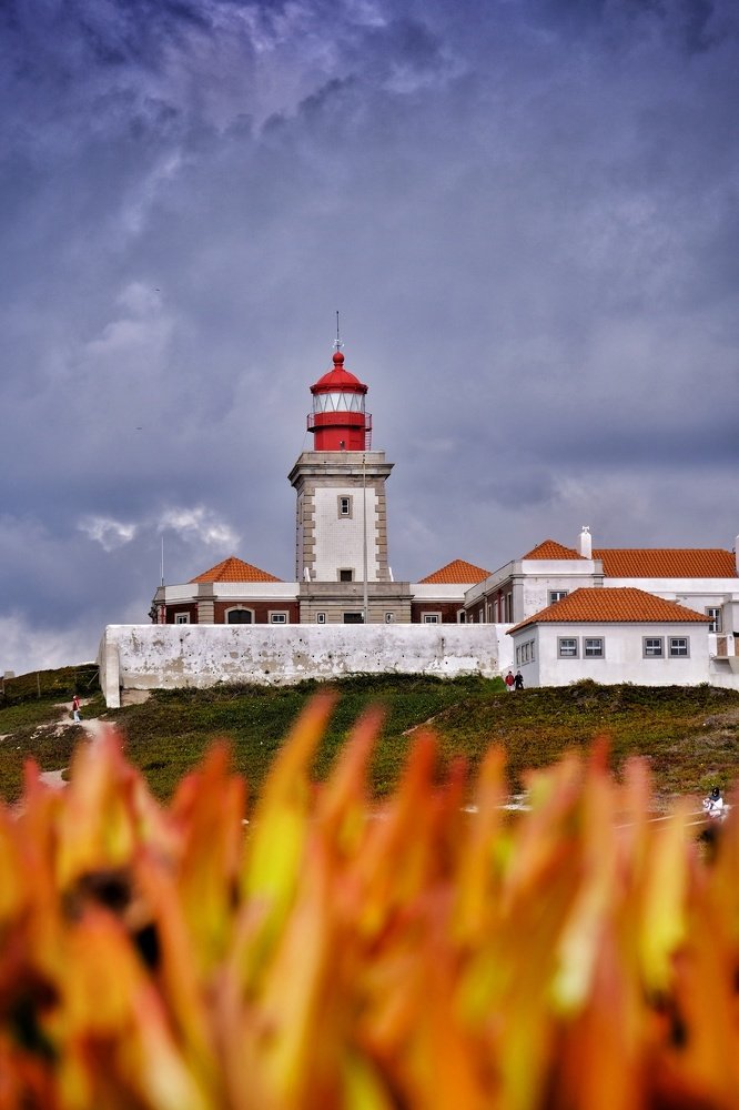 Photograph by Claudio Ulloa