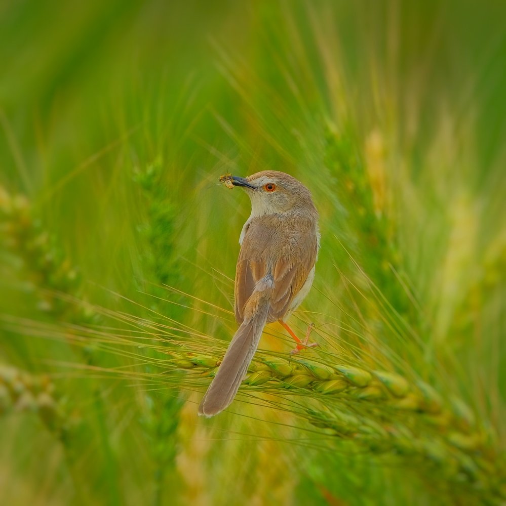 Photograph by Khalid Gurchani