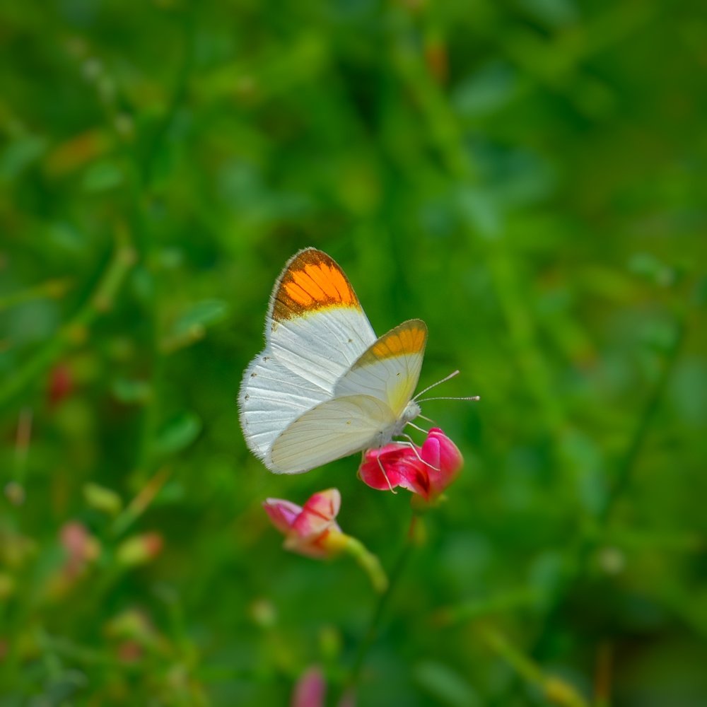 Photograph by Khalid Gurchani