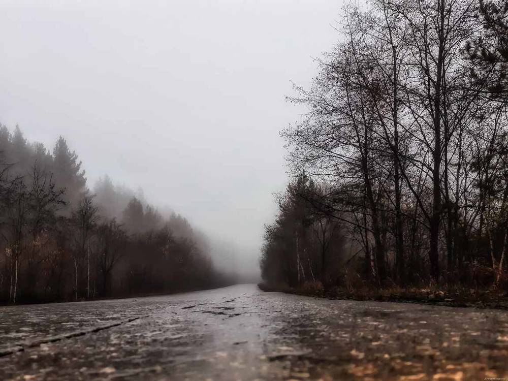 Photograph by Светлана Лехмус