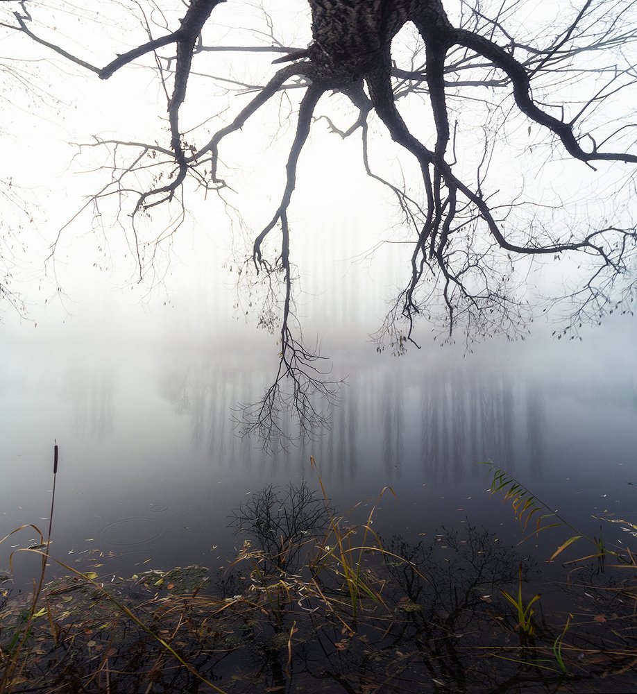 Фотография автора Тимур Подколзин