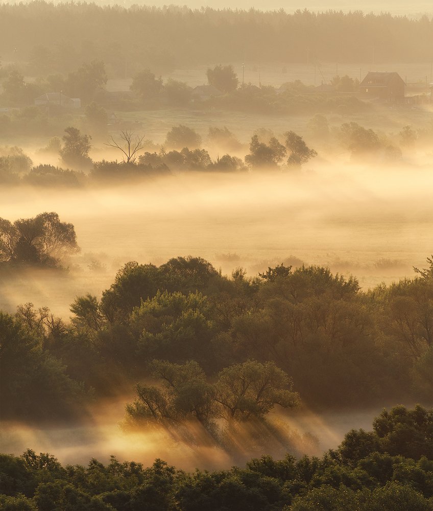 Фотография автора Тимур Подколзин